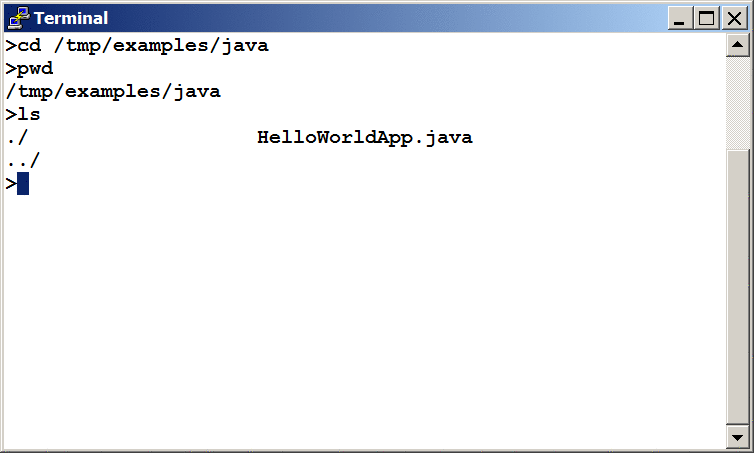 ls 命令的结果，显示.java 源文件。
